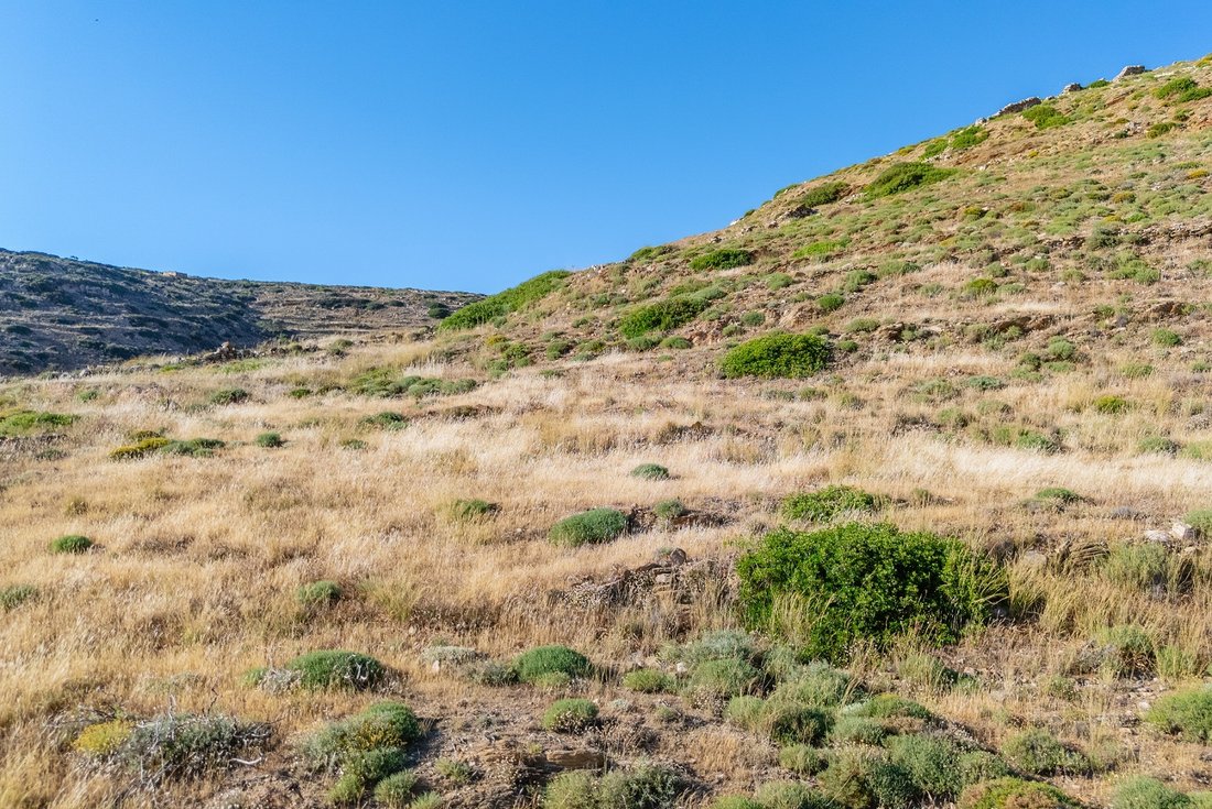 Land in Ios, Aegean, Greece 4 - 18297378