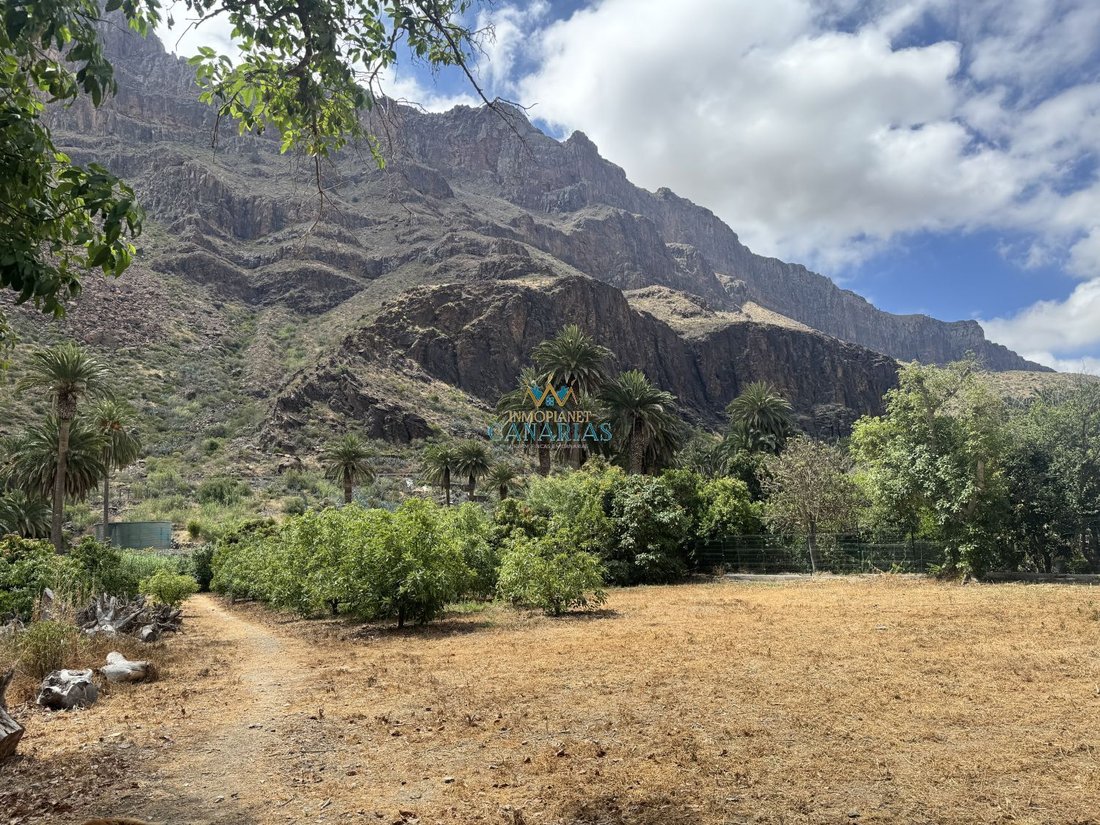 Estate in San Bartolome de Tirajana, Canary Islands, Spain 1 - 17234107