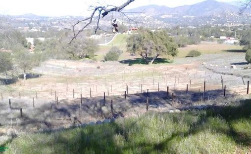 Land in Villa de Juárez, Baja California, Mexico 1