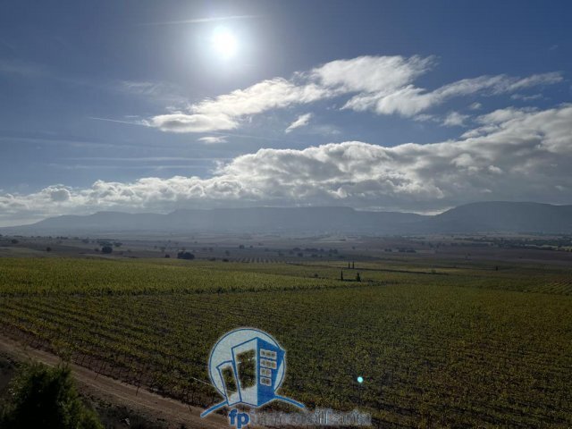 Farm Ranch in Albacete, Castile-La Mancha, Spain 3 - 18297660