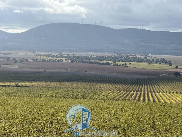 Farm Ranch in Albacete, Castile-La Mancha, Spain 1 - 18297660