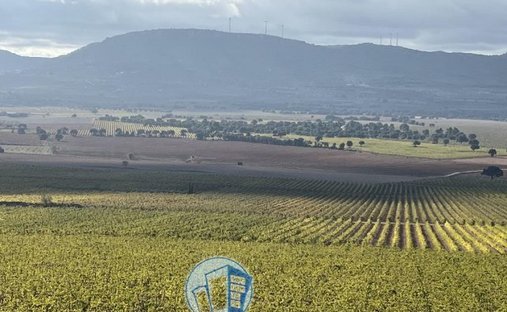 Azienda agricola a Albacete, Castiglia-La Mancia, Spagna 1