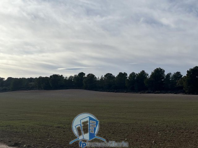 Farm Ranch in Hellin, Castile-La Mancha, Spain 2 - 18297669