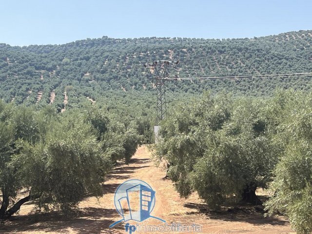 Farm Ranch in Arroyo del Ojanco, Andalusia, Spain 2 - 18297663