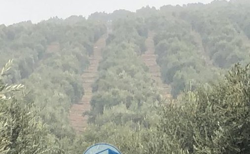 Rancho en Arroyo del Ojanco, Andalucía, España 1