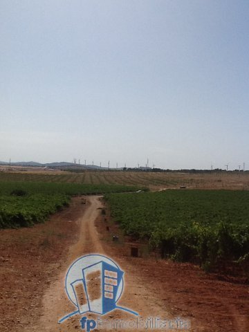 Farm Ranch in Pozohondo, Castile-La Mancha, Spain 2 - 18297643