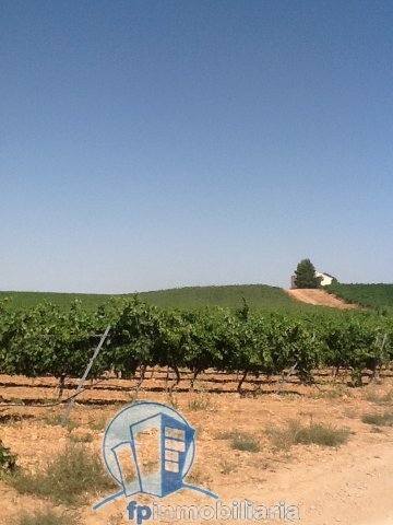 Farm Ranch in Pozohondo, Castile-La Mancha, Spain 5 - 18297643