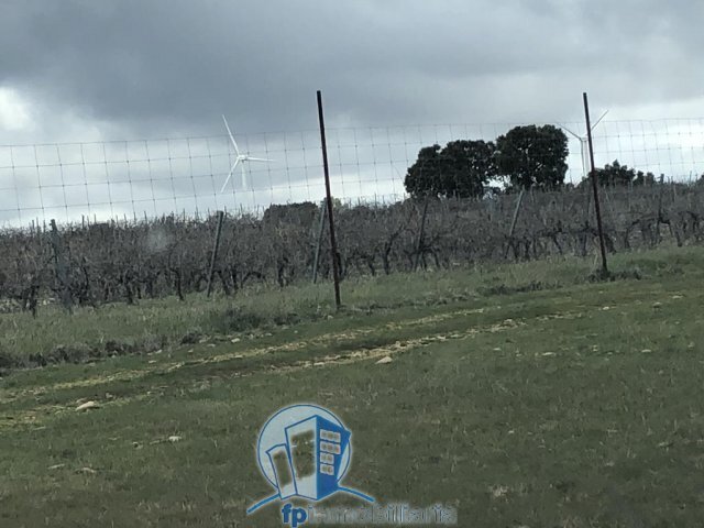 Farm Ranch in Albacete, Castile-La Mancha, Spain 4 - 18297654