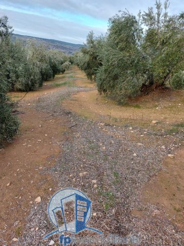 Farm Ranch in Arroyo del Ojanco, Andalusia, Spain 2 - 18297658