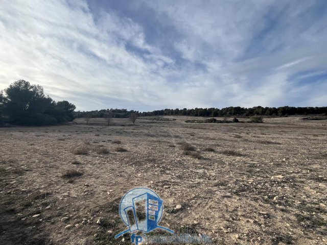Farm Ranch in Hellin, Castile-La Mancha, Spain 3 - 18297669