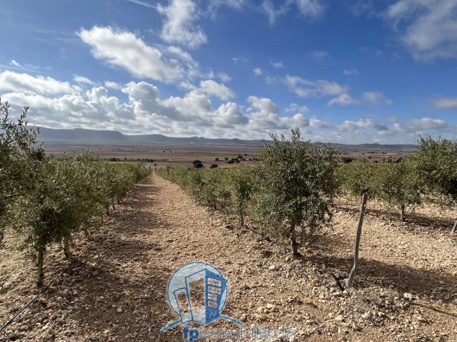 Farm Ranch in Albacete, Castile-La Mancha, Spain 5 - 18297660