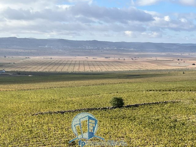 Farm Ranch in Albacete, Castile-La Mancha, Spain 4 - 18297660