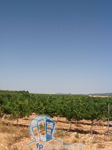 Farm Ranch in Pozohondo, Castile-La Mancha, Spain 4 - 18297643