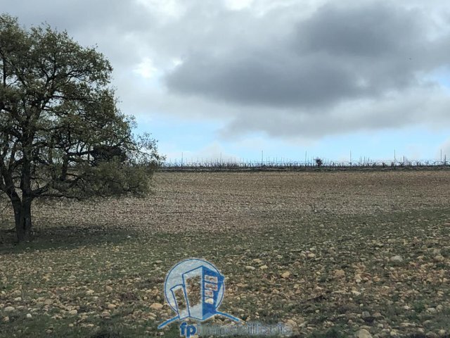 Farm Ranch in Albacete, Castile-La Mancha, Spain 2 - 18297654