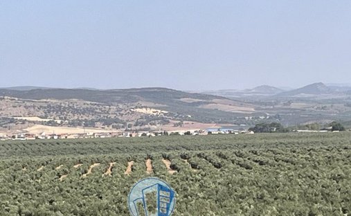 Rancho en Arroyo del Ojanco, Andalucía, España 1