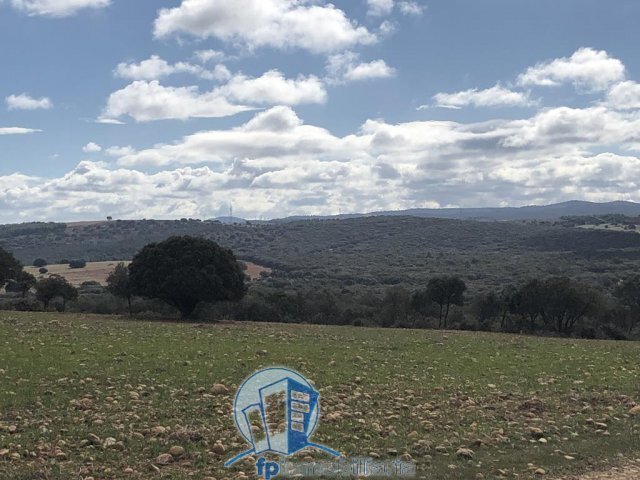 Farm Ranch in Albacete, Castile-La Mancha, Spain 3 - 18297654