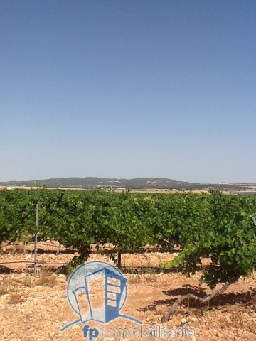 Farm Ranch in Pozohondo, Castile-La Mancha, Spain 3 - 18297643