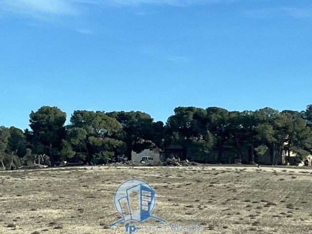 Farm Ranch in Hellin, Castile-La Mancha, Spain 4 - 18297669