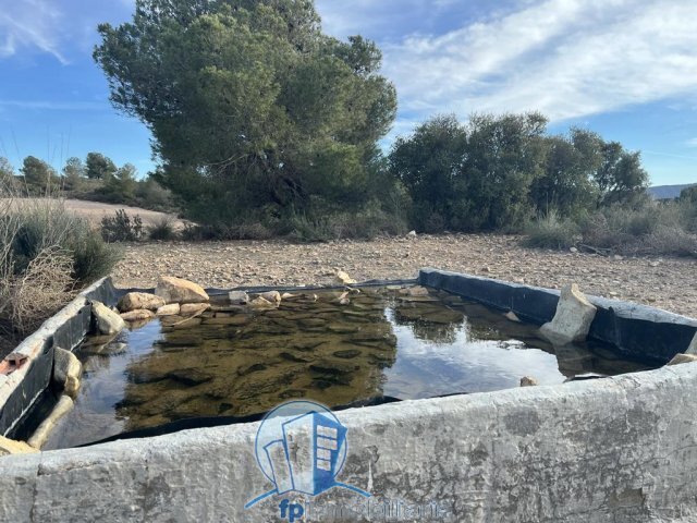 Farm Ranch in Hellin, Castile-La Mancha, Spain 5 - 18297669