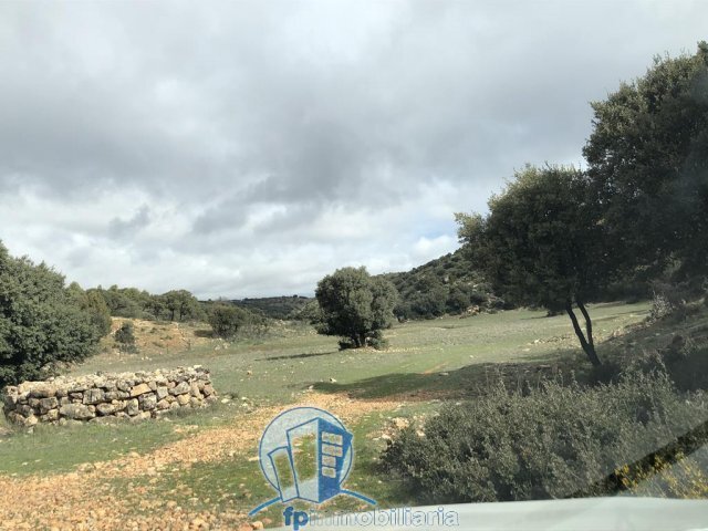 Farm Ranch in Albacete, Castile-La Mancha, Spain 1 - 18297654