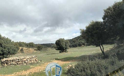 Azienda agricola a Albacete, Castiglia-La Mancia, Spagna 1