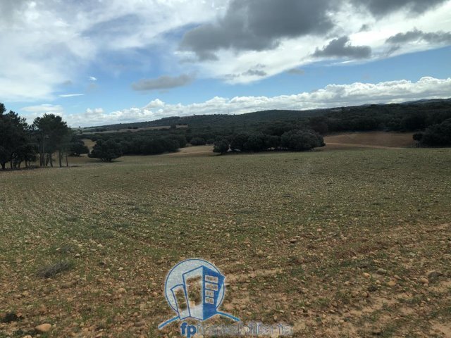 Farm Ranch in Albacete, Castile-La Mancha, Spain 5 - 18297654