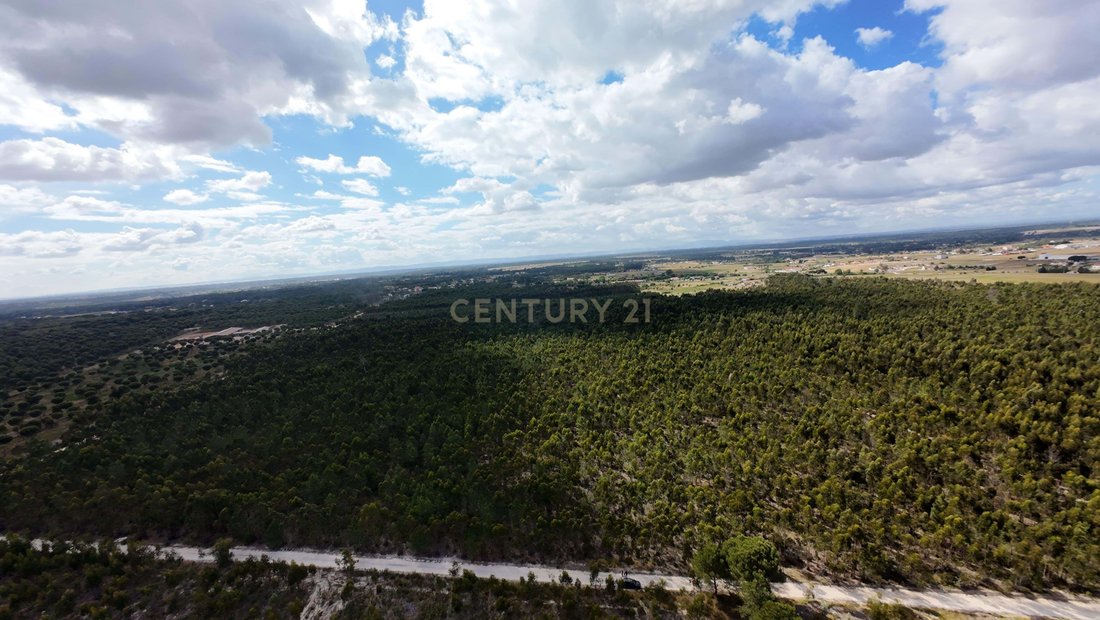 Land in Santo Estevao, Santarem District, Portugal 4 - 18116725