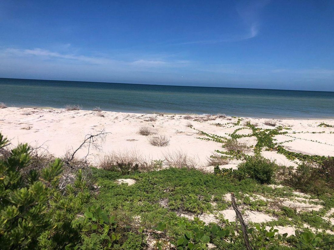 Land in Sisal, Yucatan, Mexico 4 - 18298635