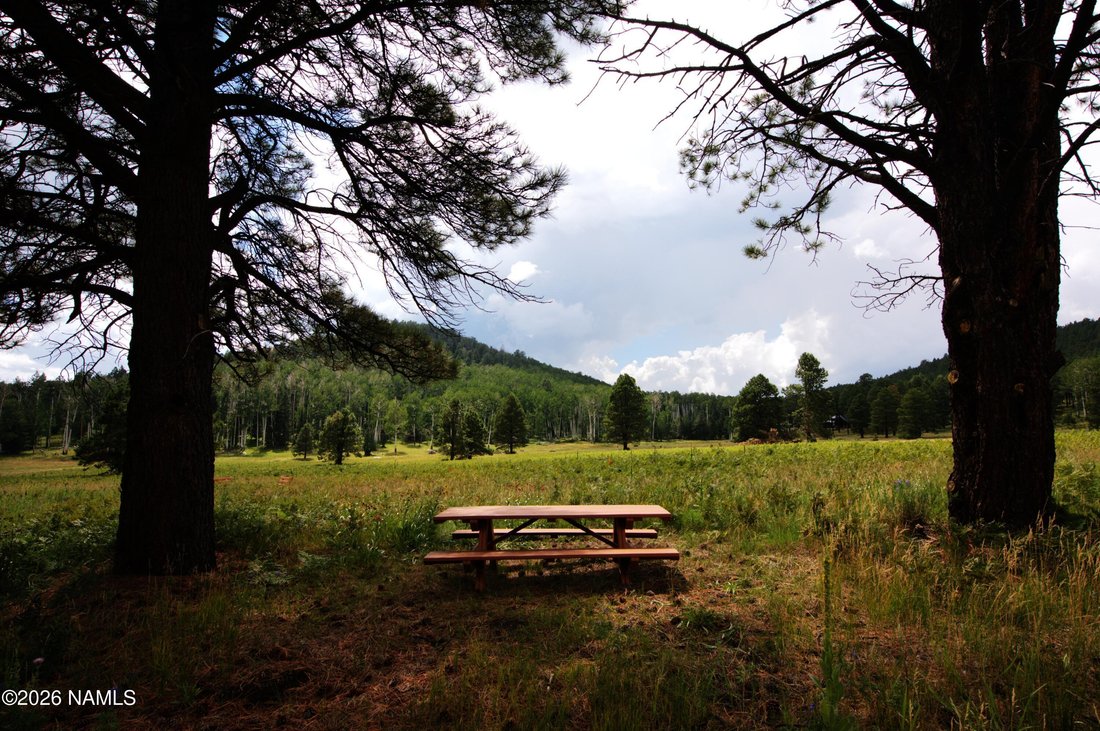 House in Flagstaff, Arizona, United States 4 - 18299808