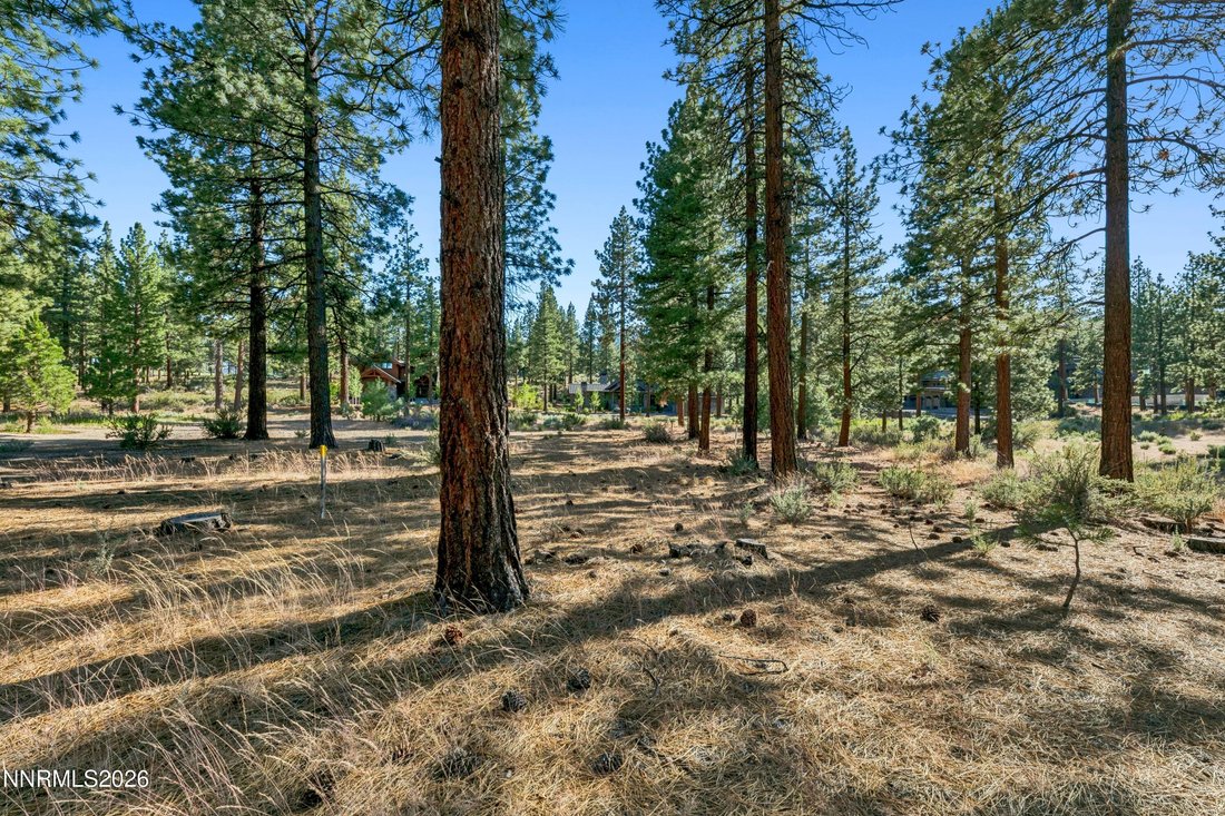 Land in Genoa, Nevada, United States 4 - 18302466
