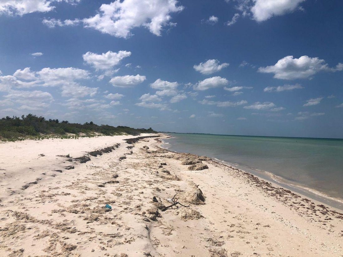 Land in Sisal, Yucatan, Mexico 3 - 18298635