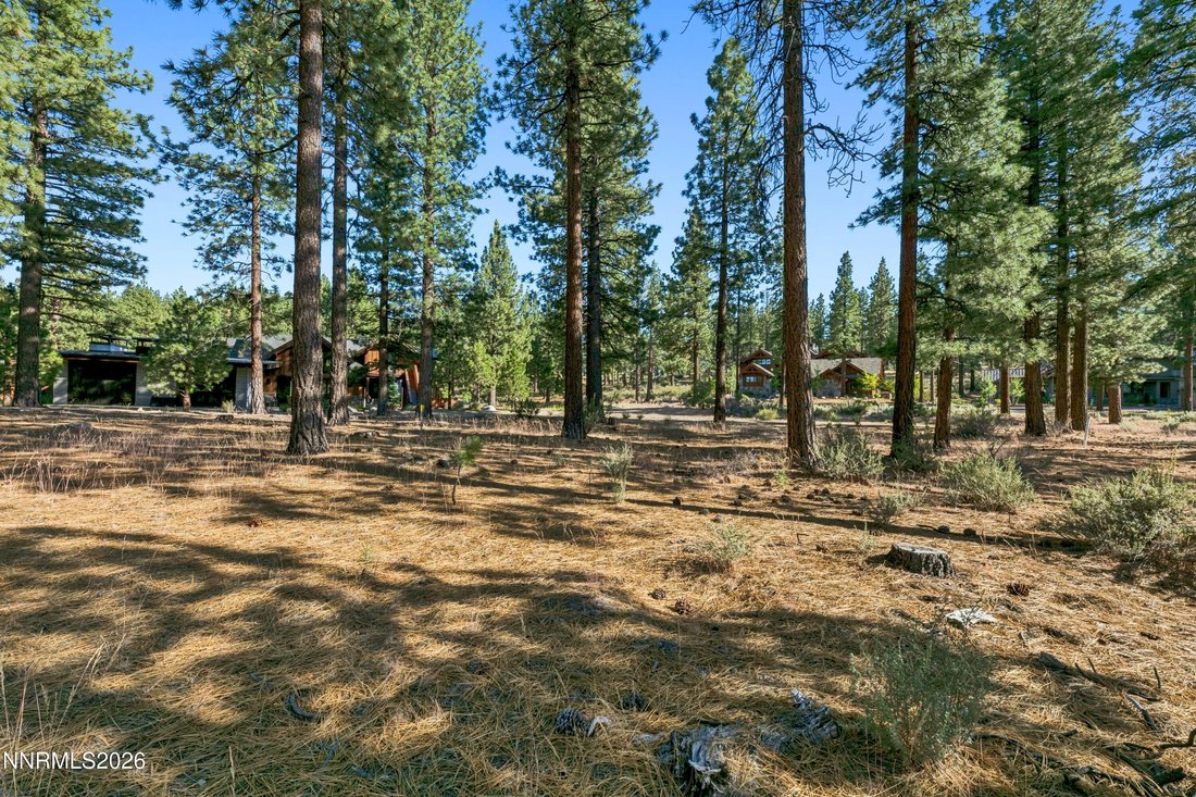 Land in Genoa, Nevada, United States 5 - 18302466
