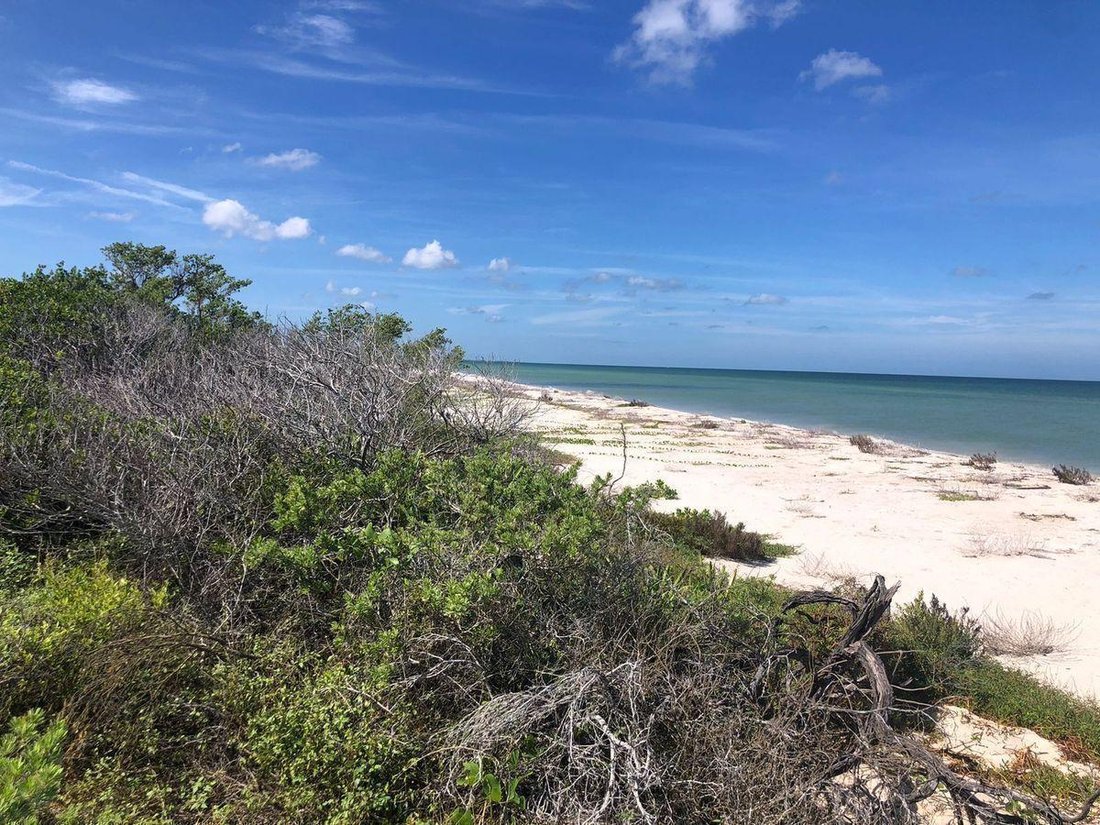 Land in Sisal, Yucatan, Mexico 5 - 18298635