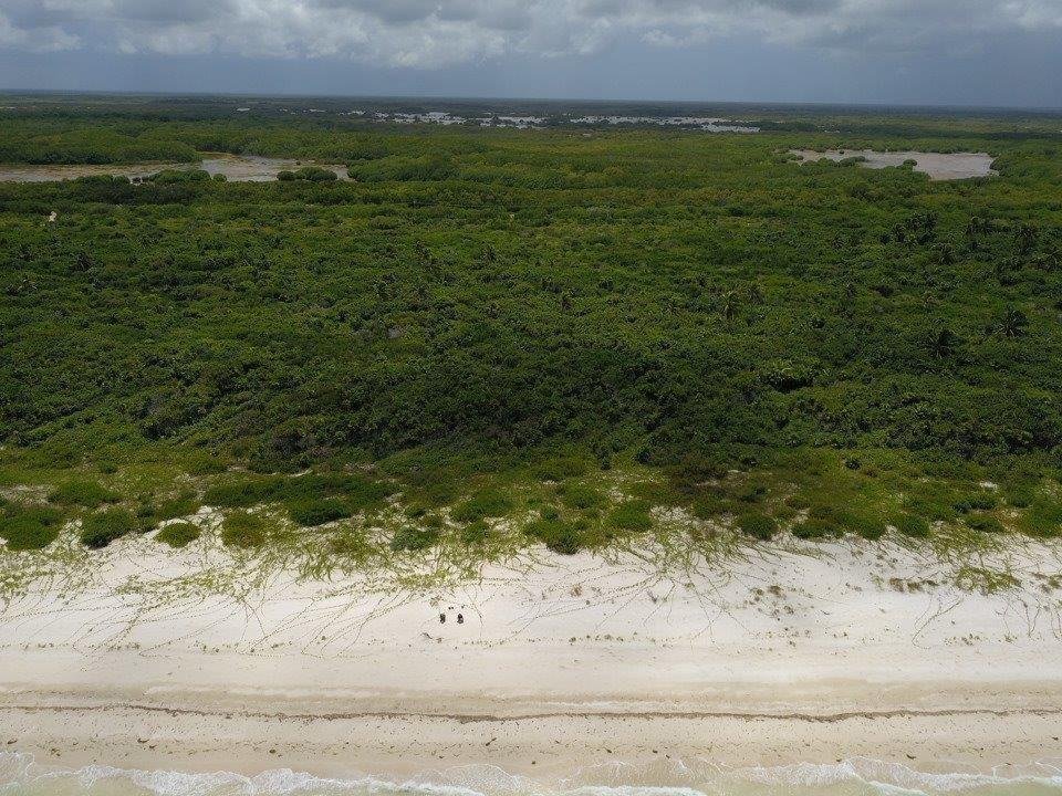 Land in Sisal, Yucatan, Mexico 1 - 18298620