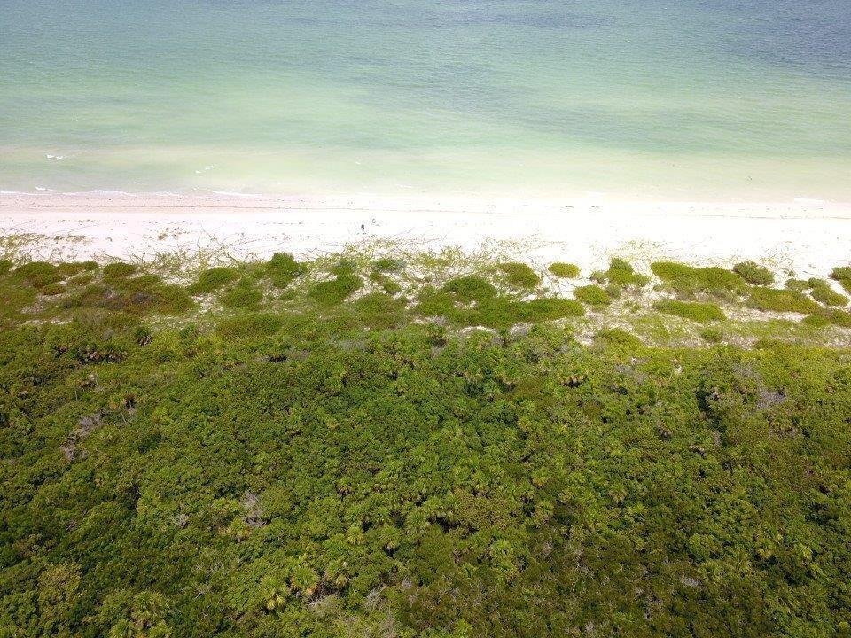 Land in Sisal, Yucatan, Mexico 4 - 18298620