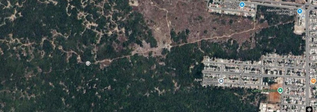 Land in San Ignacio, Yucatan, Mexico 1 - 18298670
