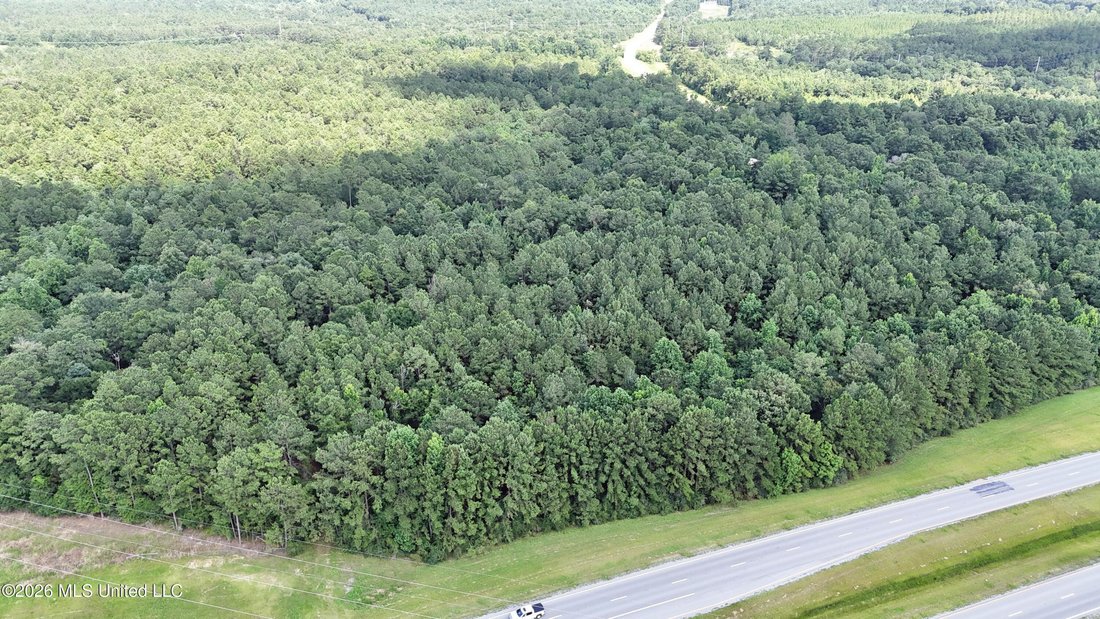 Land in Lucedale, Mississippi, United States 3 - 18302711