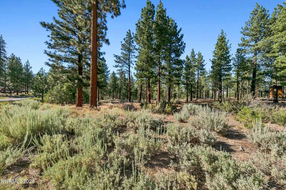 Land in Genoa, Nevada, United States 2 - 18302466