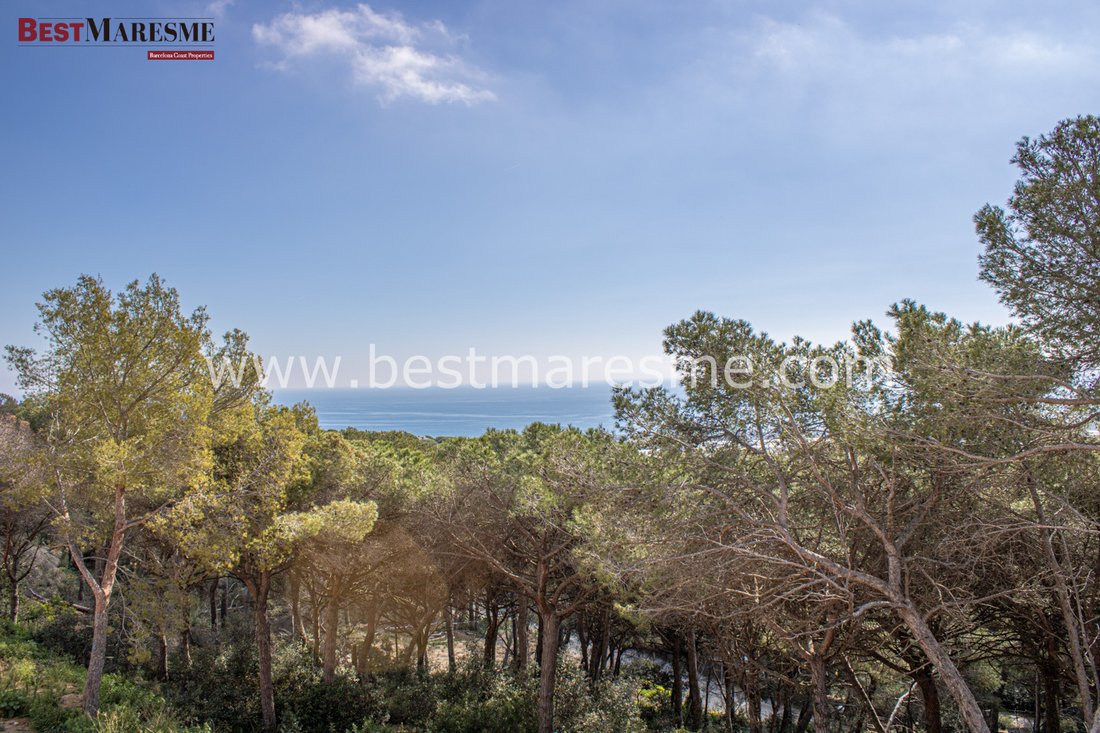 Land in Cabrera de Mar, Catalonia, Spain 2 - 18299901