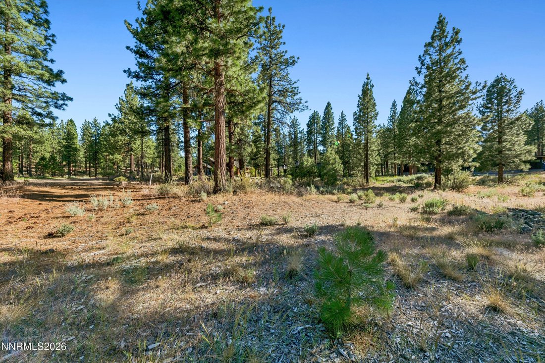 Land in Genoa, Nevada, United States 1 - 18302466