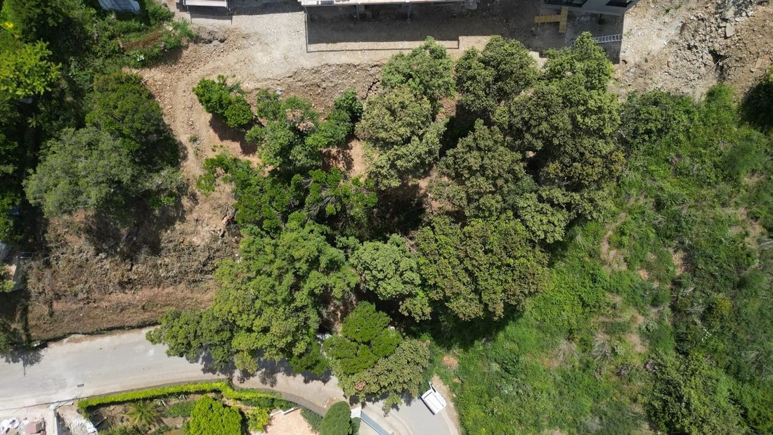 Land in Begur, Catalonia, Spain 2 - 18302587