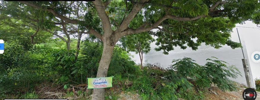 Land in Ciudad del Carmen, Campeche, Mexico 5 - 18298554