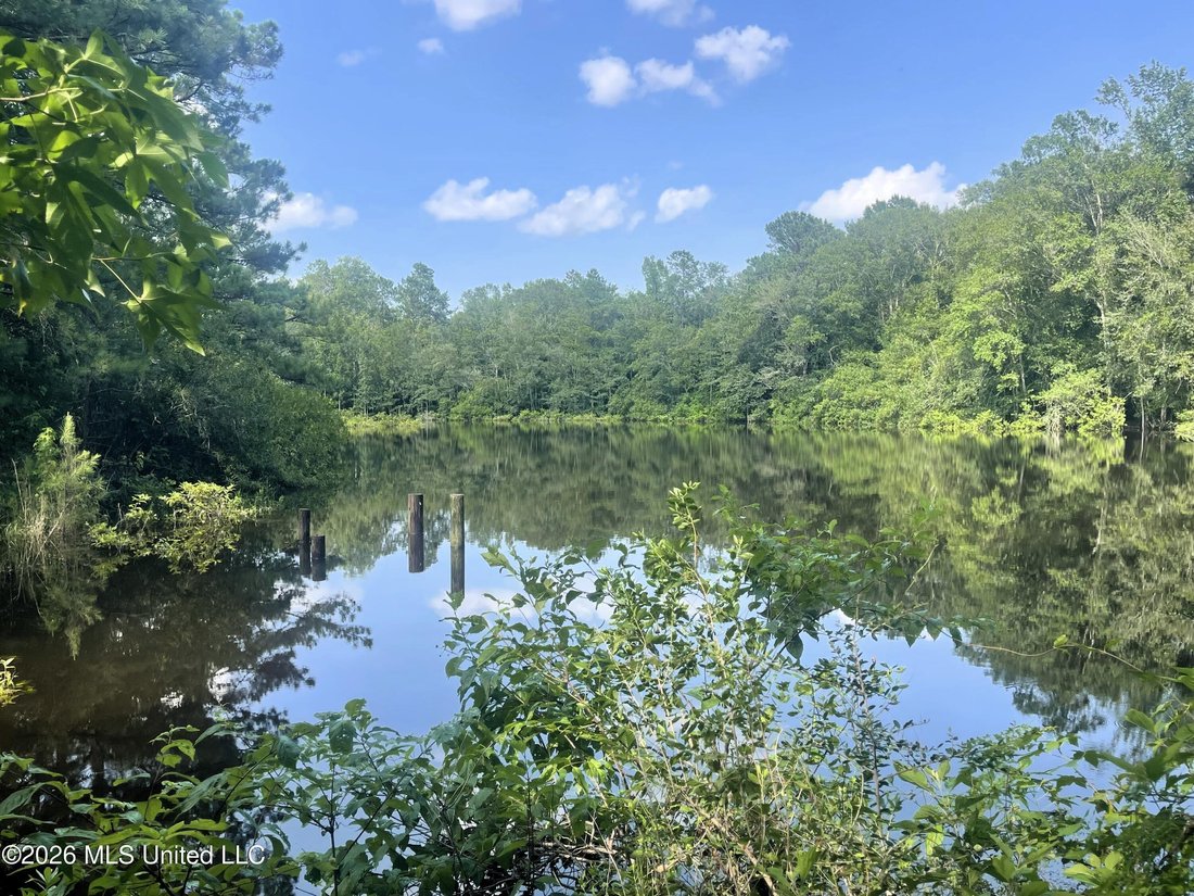 Land in Lucedale, Mississippi, United States 5 - 18302711