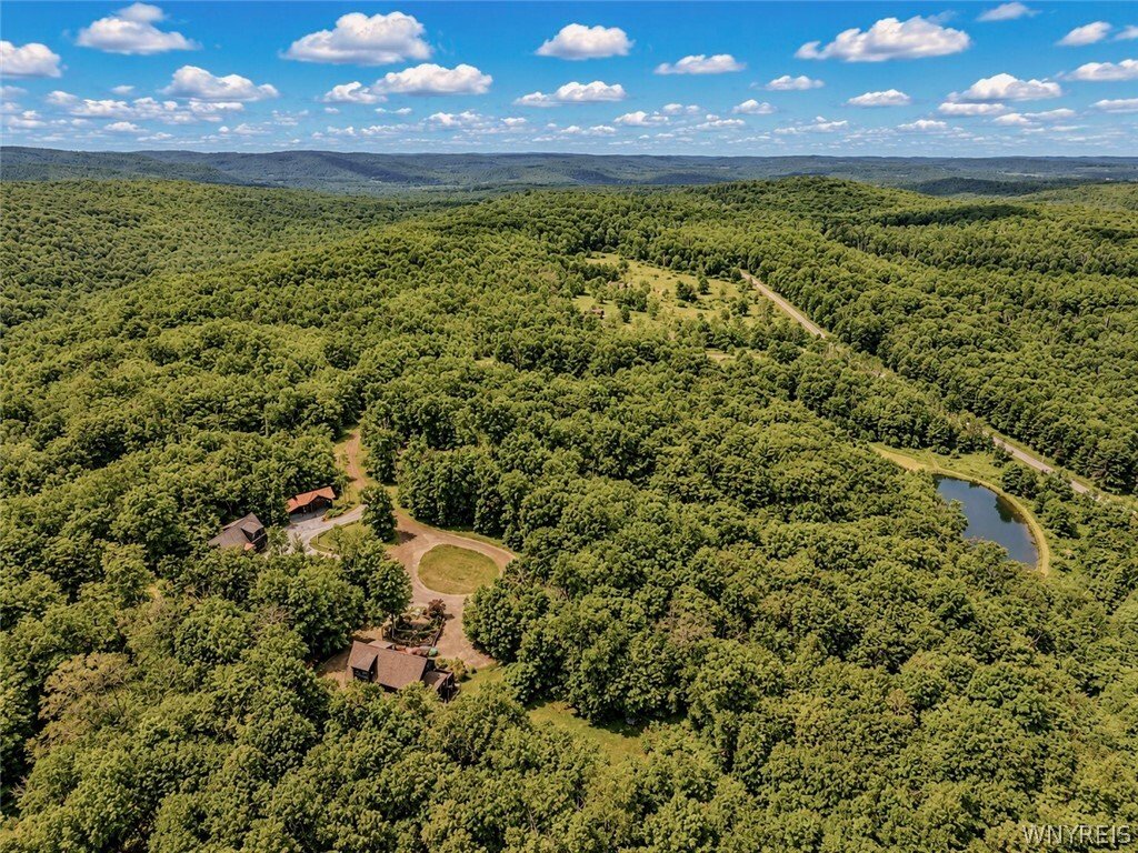 House in East Otto, New York, United States 4 - 18300235