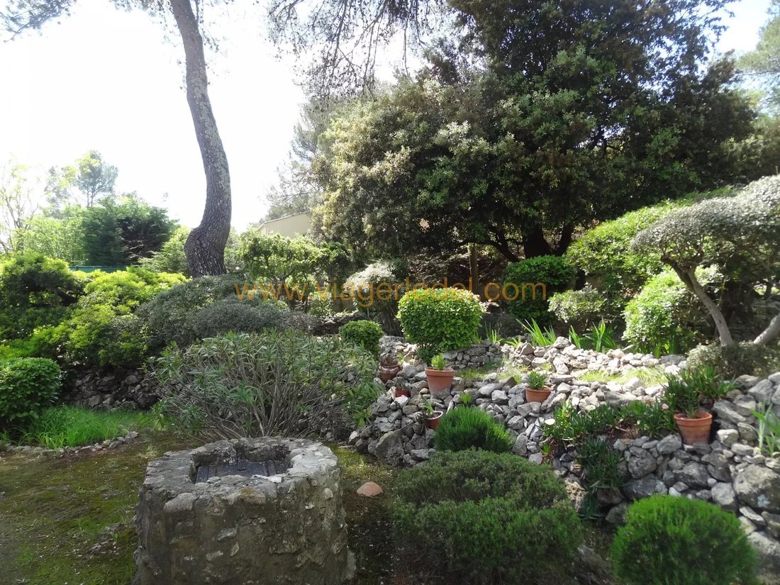 Haus in Sud, Montferrier-sur-Lez, Frankreich 4 - 18298786