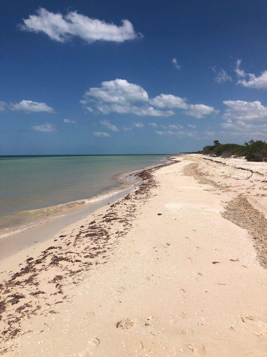 Land in Sisal, Yucatan, Mexico 2 - 18298635