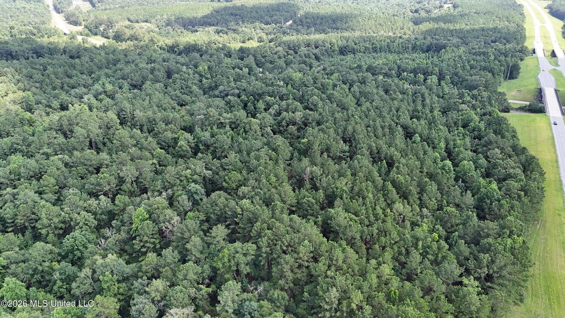 Land in Lucedale, Mississippi, United States 2 - 18302711
