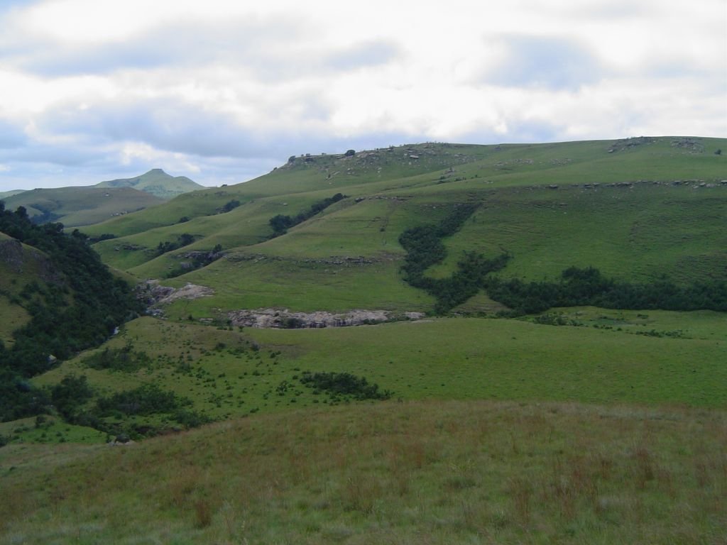 Farm Ranch in Newcastle, KwaZulu-Natal, South Africa 3 - 18298981