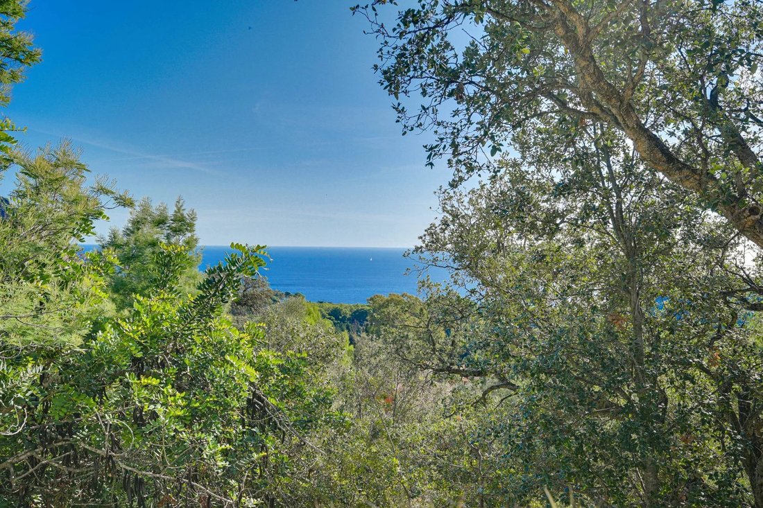 Land in Begur, Catalonia, Spain 2 - 18302590