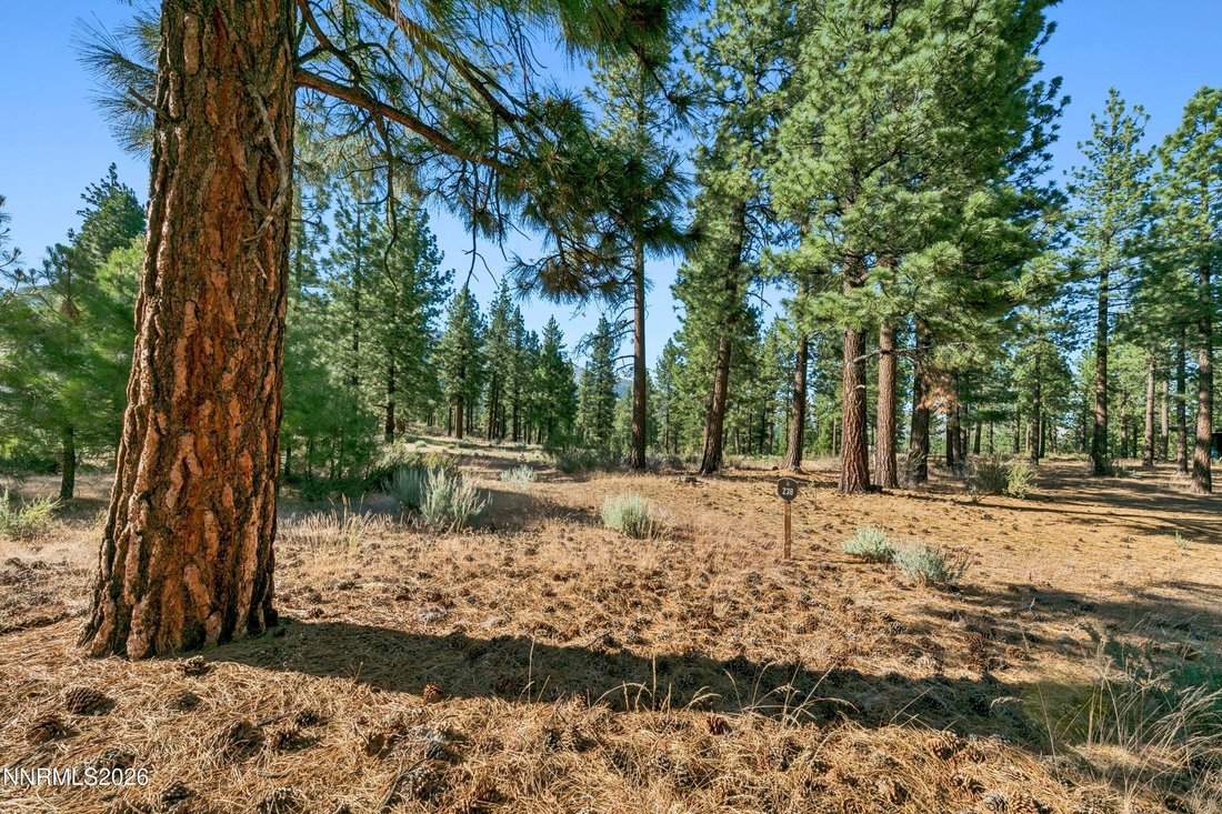 Land in Genoa, Nevada, United States 3 - 18302466